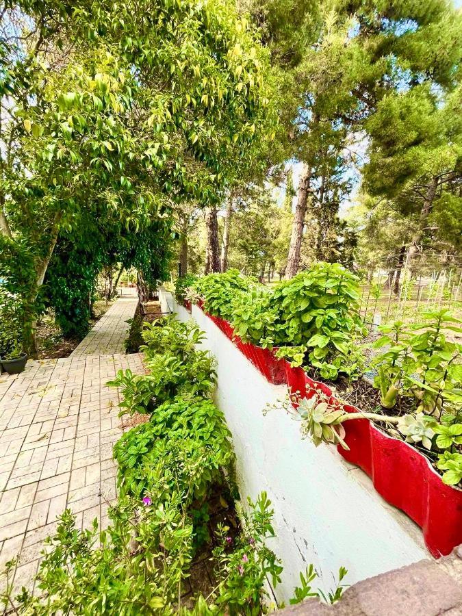 Villavictoria Marias View Pool Apartment Peraía Dış mekan fotoğraf